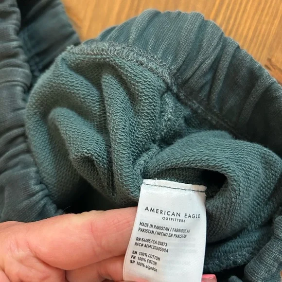 American Eagle Outfitters Teal Joggers Size M Streetwear Athleisure Distressed - Picture 6 of 15